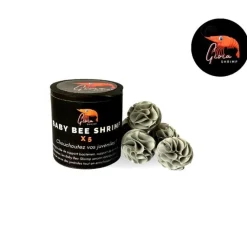 GIOIASHRIMP Abri baby bee shrimp – boîte de 5