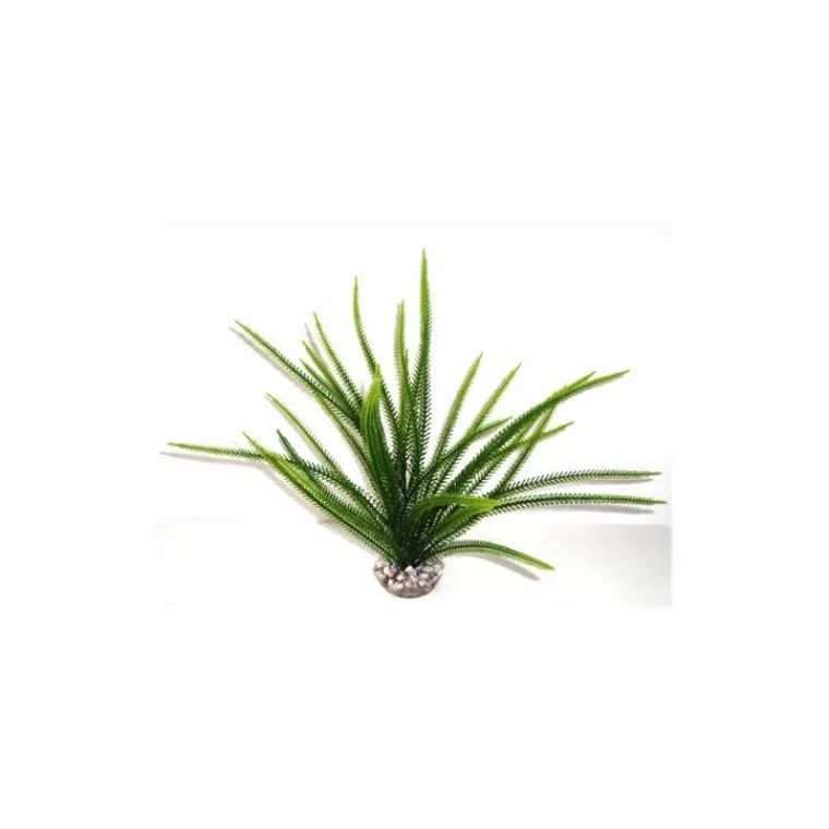 LABEO Acorus vert en plastique 25 cm