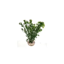 LABEO Algue colorée verte en plastique 15 cm