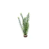 LABEO Algue haute verte en plastique 33 cm