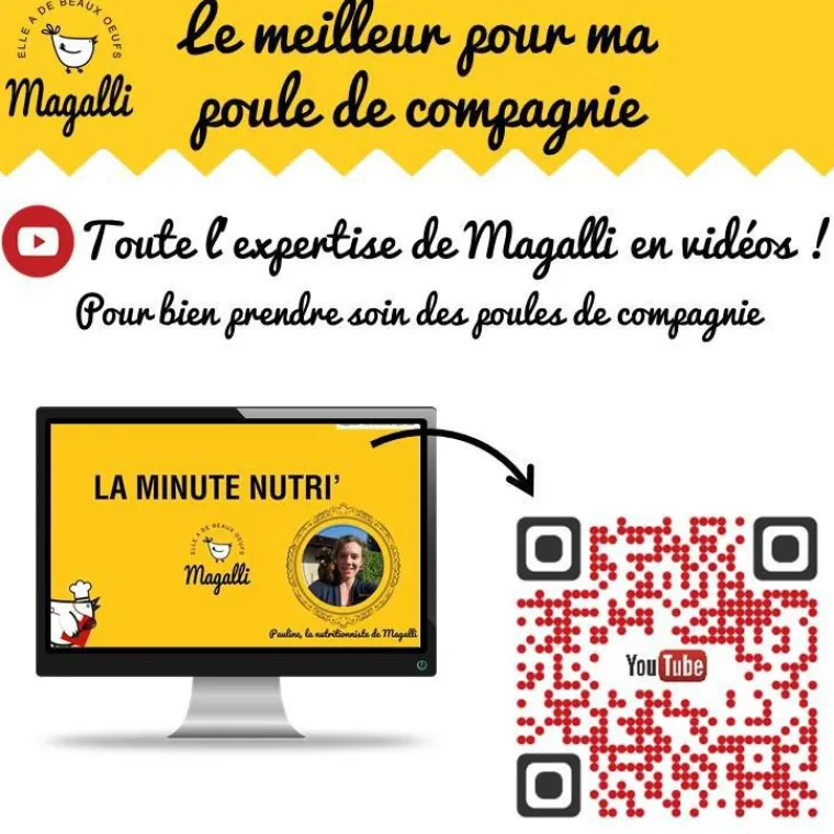 MAGALLI Aliment complet pour poule pondeuse en sac jaune de 8 kg