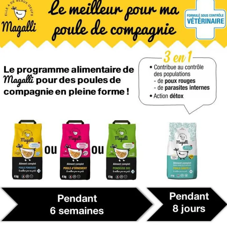 MAGALLI Aliment complet pour poule pondeuse en sac jaune de 8 kg