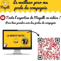 MAGALLI Aliment complet pour poule pondeuse Santé Plus en sac bleu de 4 kg