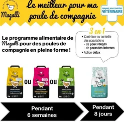 MAGALLI Aliment complet pour poule pondeuse en sac jaune de 15 kg