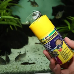 JBL Aliment en comprimés pour corydoras Pronovo Tab M – 100 ml