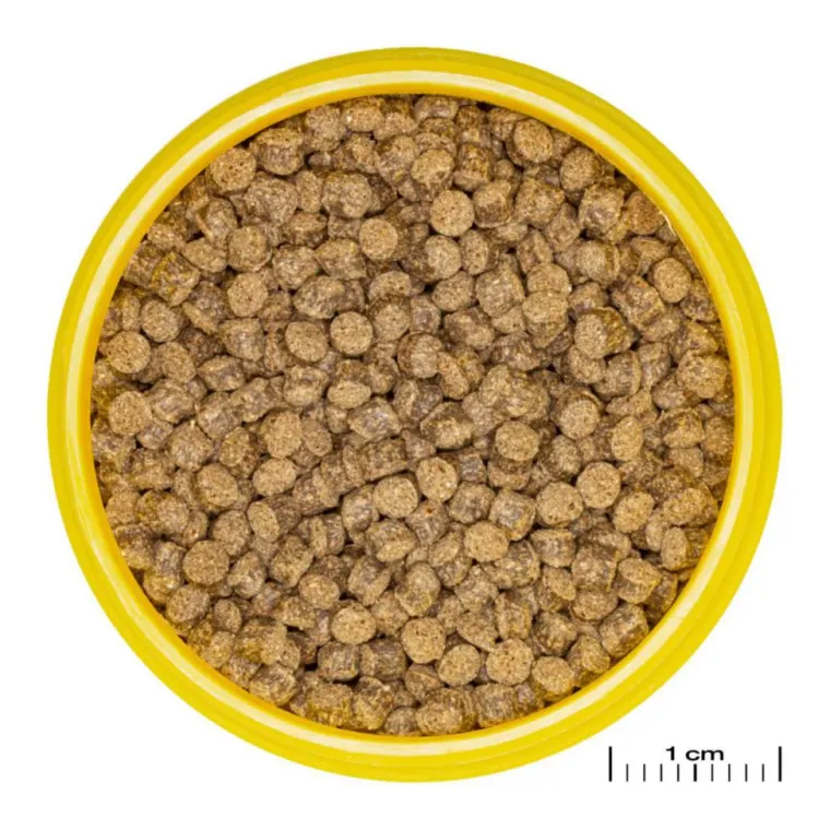 JBL Aliment en granulés Pronovo fantail grano M – 100 ml