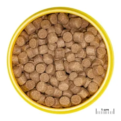 JBL Aliment en granulés pour Axolotl Pronovo lotl grano XL – 250 ml