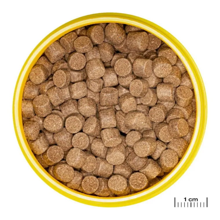 JBL Aliment en granulés pour Axolotl Pronovo lotl grano XL – 250 ml