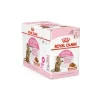 ROYAL CANIN Aliment humide pour chaton Kitten Sterilised sauce. Pack 12 x 85 g