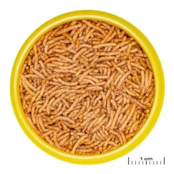 BLUE CORAL Aliment pour betta à base d'insectes JBL ProNovo Stick - 10g/20ml