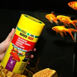 JBL Alimentation pour poisson exotique Pro novo red