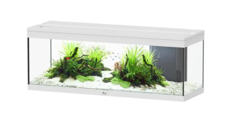 AQUATLANTIS Aquarium coloris blanc Prestige LED 2.0 170 L - 120 x 40 x 45 cm