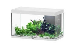 AQUATLANTIS Aquarium coloris blanc Sublime Ultra LED 2.0 245 L - 100 x 50 x 60 cm
