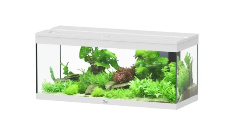 AQUATLANTIS Aquarium coloris blanc Prestige LED 2.0 144 L - 100 x 40 x 40 cm