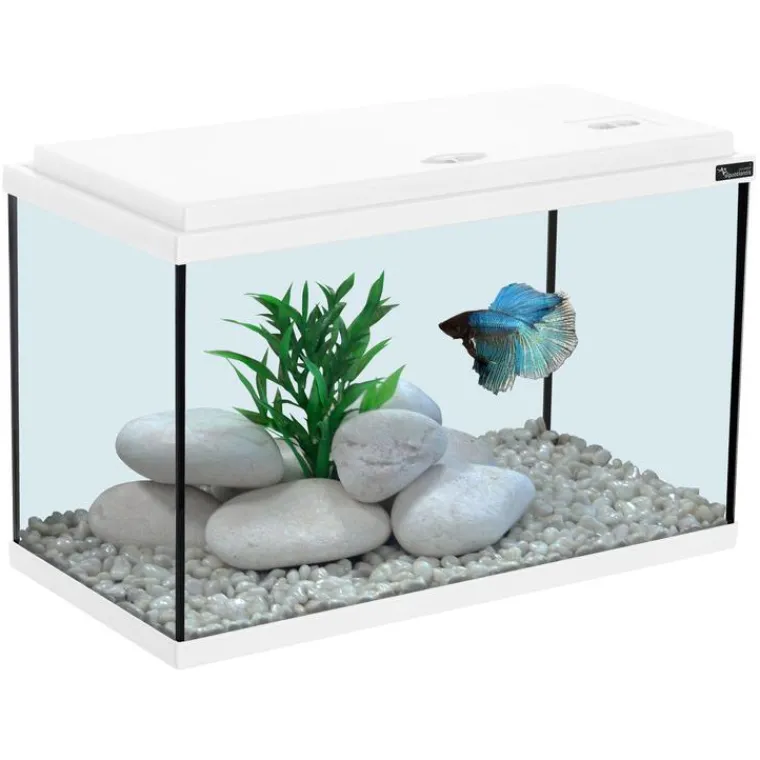 AQUATLANTIS Aquarium coloris blanc 20L - 40 x 20 x 25 cm