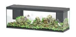 AQUATLANTIS Aquarium coloris gris Sublime Ultra LED 2.0 675 L - 200 x 60 x 75 cm