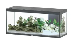 AQUATLANTIS Aquarium coloris gris Volga LED 2.0 450 L - 152 x 52 x 67 cm