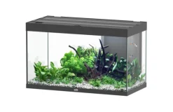AQUATLANTIS Aquarium coloris noir Sublime Ultra LED 2.0 245 L - 100 x 50 x 60 cm