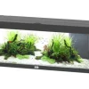 AQUATLANTIS Aquarium coloris noir Prestige LED 2.0 170 L - 120 x 40 x 45 cm