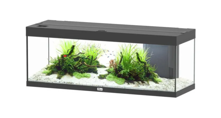 AQUATLANTIS Aquarium coloris noir Prestige LED 2.0 170 L - 120 x 40 x 45 cm