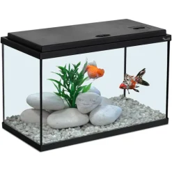 AQUATLANTIS Aquarium coloris noir 20L - 40 x 20 x 25 cm