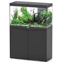 BLUE CORAL Aquarium complet noir AQUATLANTIS AQUARIUM Splendid 100 - 247L