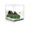 CIANO Aquarium cuve nue Cube - 18L