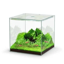 AQUATLANTIS Aquarium cuve nue Kubus - 22L