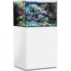 BLUE CORAL Aquarium de 245 litres avec son meuble et sa cuve de filtration d'un volume de 55 litres