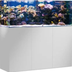 BLUE CORAL Aquarium de 375 litres avec son meuble et sa cuve de filtration d'un volume de 85 litres