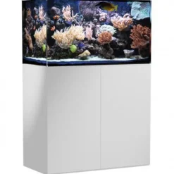 BLUE CORAL Aquarium de 250 litres avec son meuble et sa cuve de filtration d'un volume de 55 litres