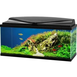 CIANO Aquarium d'eau douce complet coloris noir Aqua 80 LED 71 L