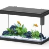 AQUATLANTIS Aquarium d'eau froide et d'eau douce coloris noir Explorer Vienna 34 L - 35 x 50 x 25 cm