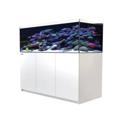 RED SEA Aquarium eau de mer avec un meuble coloris blanc certifié FSC® Reefer™ XL 525 - 150 x 57,5 x 142 cm
