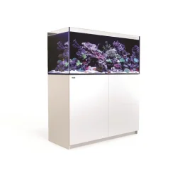 RED SEA Aquarium eau de mer avec un meuble coloris blanc Reefer™ 350 - 140 x 50 x 120 cm