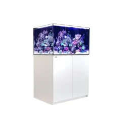 RED SEA Aquarium eau de mer avec un meuble coloris blanc Reefer™ XL 300 - 90 x 57,5 x 142 cm