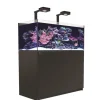 RED SEA Aquarium eau de mer avec un meuble coloris noir certifié FSC® Reefer™ Deluxe XL 425 - 120 x 57,5 x 142 cm