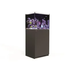RED SEA Aquarium eau de mer avec un meuble coloris noir Reefer™ 170 - 60 x 50 x 137 cm
