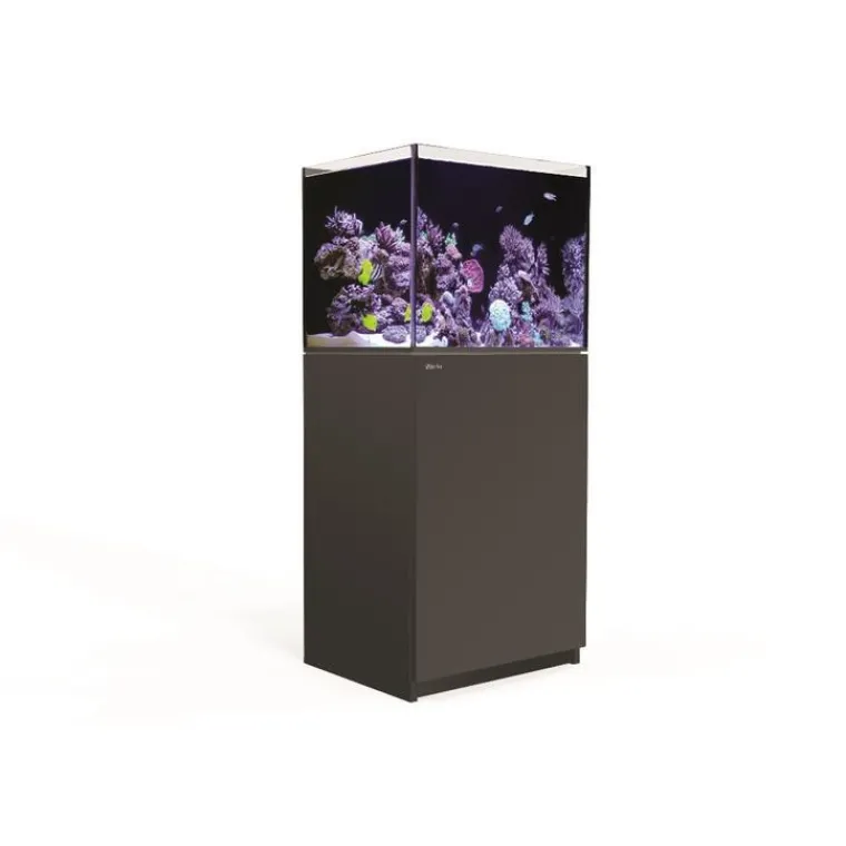 RED SEA Aquarium eau de mer avec un meuble coloris noir Reefer™ 170 - 60 x 50 x 137 cm