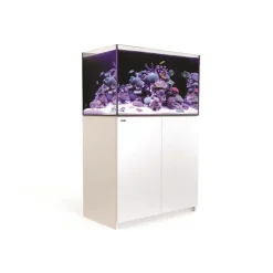 RED SEA Aquarium eau de mer avec un meuble coloris blanc Reefer™ 250 - 90 x 50 x 140 cm