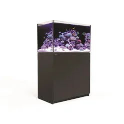 RED SEA Aquarium eau de mer avec un meuble coloris noir Reefer™ 250 - 90 x 50 x 140 cm