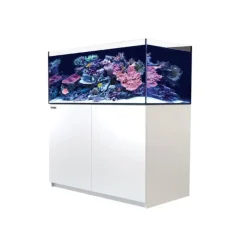 RED SEA Aquarium eau de mer avec un meuble coloris blanc certifié FSC® Reefer™ XL 425 - 120 x 57,5 x 142 cm