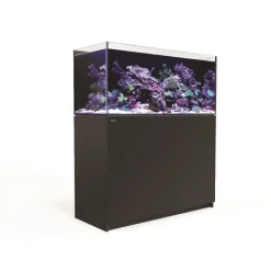 RED SEA Aquarium eau de mer avec un meuble coloris noir Reefer™ 350 - 120 x 50 x 140 cm