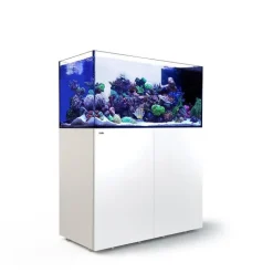 RED SEA Aquarium eau de mer avec un meuble coloris blanc Reefer™ Peninsula P500 - 125 x 60 x 160 cm