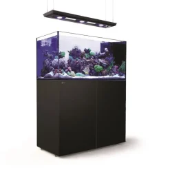 RED SEA Aquarium en verre avec meuble et éclairage ReefLED - AQUARIUM REEFER Peninsula P500 - 500L