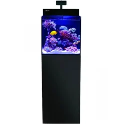 BLUE CORAL Aquarium marin cube noir, meuble inclus - RED SEA AQUARIUM Max Nano G2