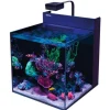 BLUE CORAL Aquarium marin Max Nano G2 XL - RED SEA