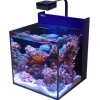 BLUE CORAL Aquarium marin RED SEA AQUARIUM Max Nano G2 Cube