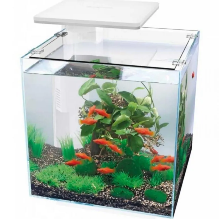 SUPERFISH Aquarium équipé blanc, Qubiq 30 PRO - 30L