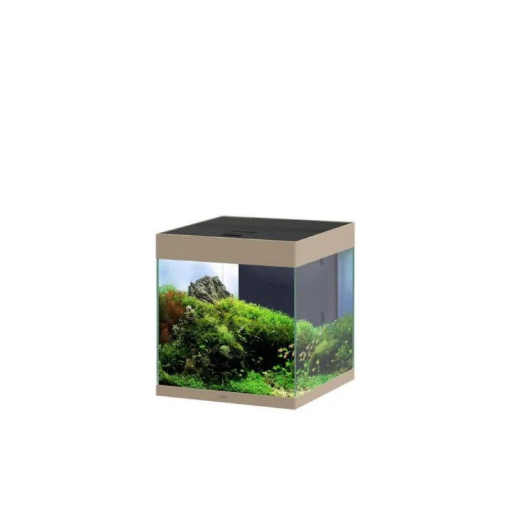 CIANO Aquarium équipé Emotions Pro 40 Mystic 52 L - 40 x 40 x 43 cm